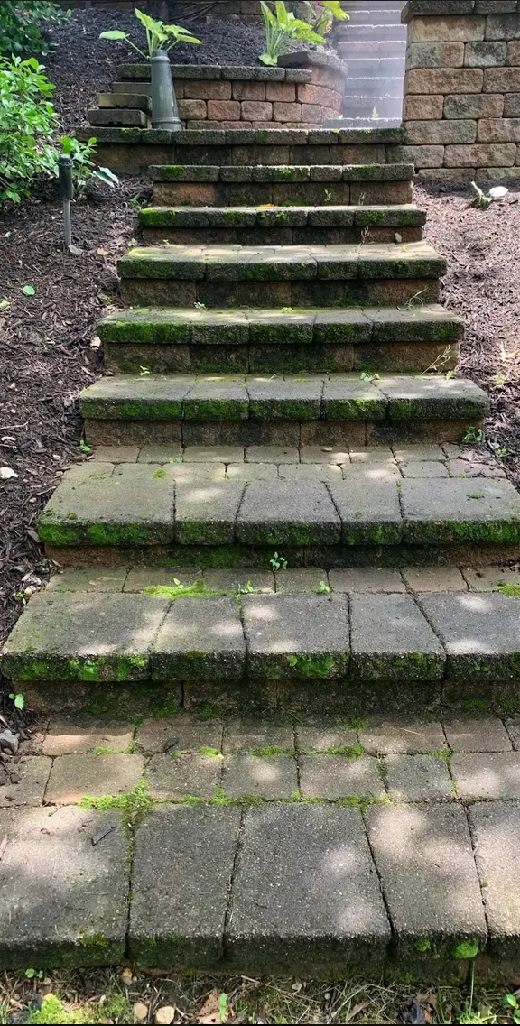 Pavers before pressure washing
